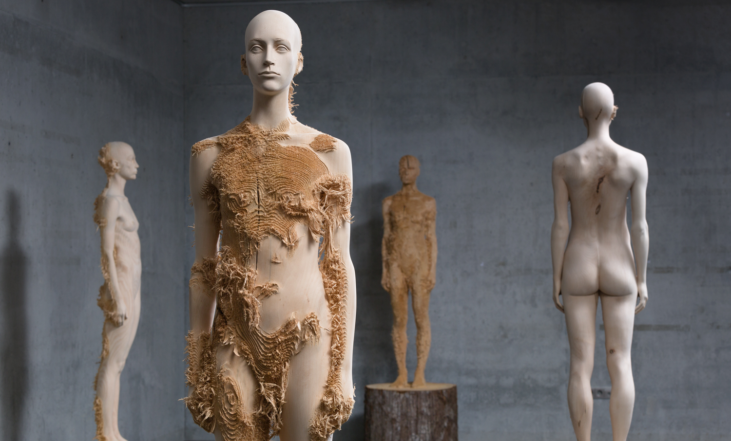 Tiglio, 215cm, 2012